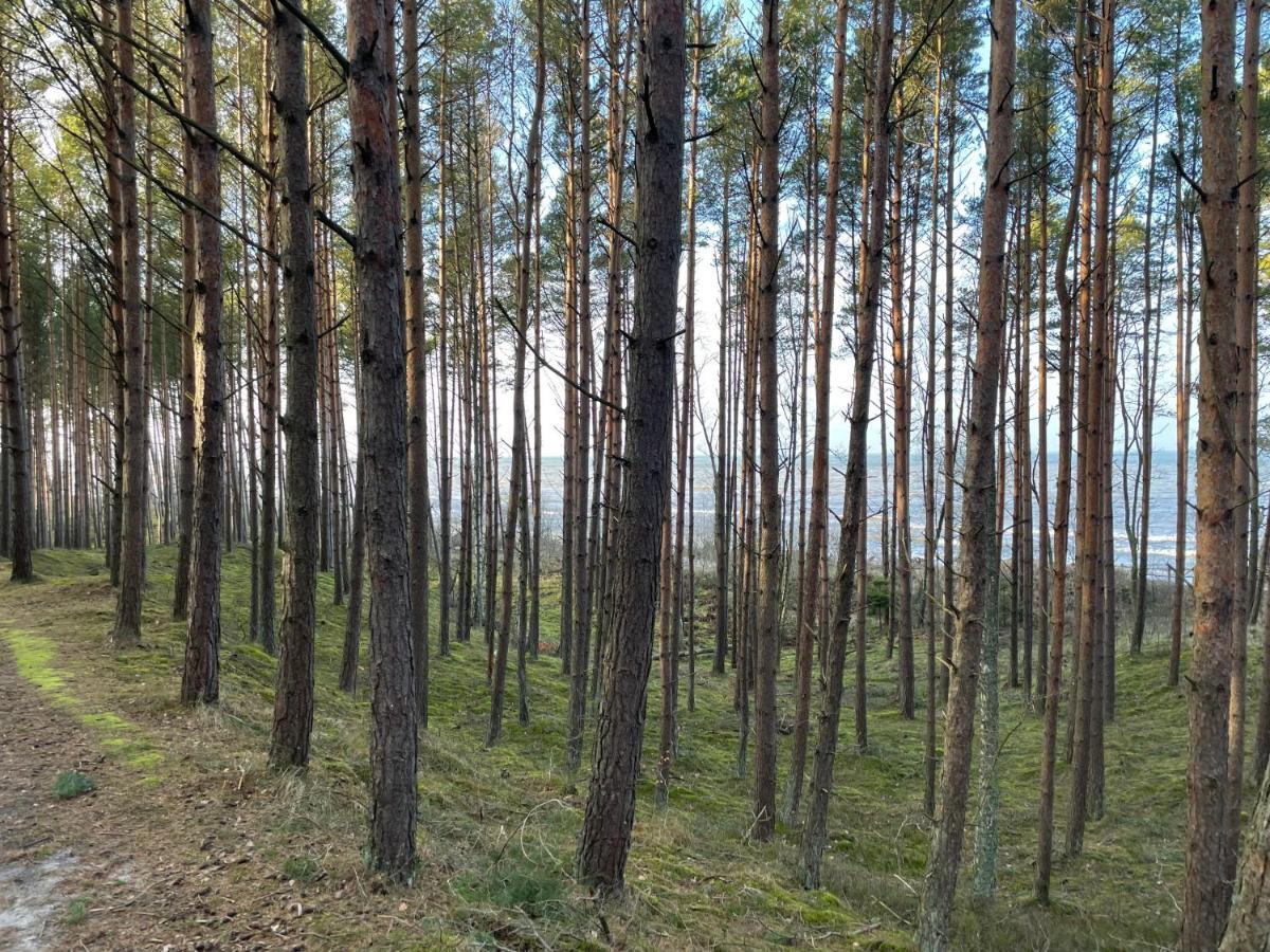 Wygodny Eko Domek Kolo Nadmorskiego Parku Krajobrazowego Karwienskie Bloto Drugie ภายนอก รูปภาพ